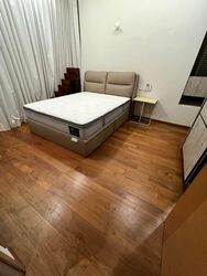 Poshgrove East (D15), Condominium #439150471